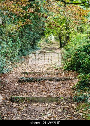 Parte del South West Coast Path vicino a St. Mary's Bay, Brixham, Devon. Foto Stock