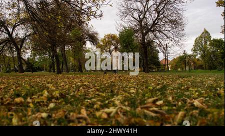 Una giovane donna prende un cane per una passeggiata in una città ungherese Foto Stock