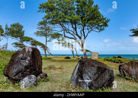 Costa settentrionale, Pointe Allegre, basse-Terre, Guadalupa, Antille minori, Caraibi. Foto Stock