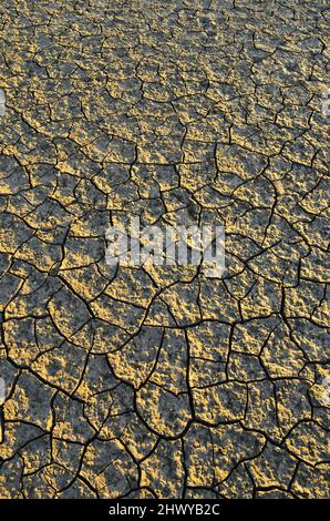 Terreno secco fessurato in Almeria sud della Spagna. Foto Stock