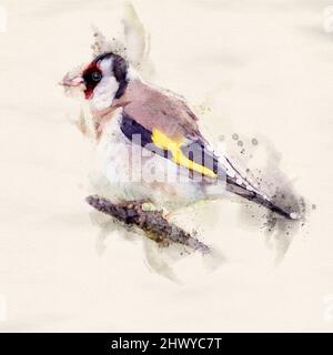 Un effetto acquerello Goldfinch arroccato su un ramo Foto Stock