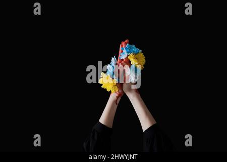 Le mani femminili pregano per la pace, i fiori blu-gialli sbocciano tra le dita su uno sfondo nero. Foto di alta qualità Foto Stock