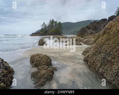 Incastonato nella costa occidentale dell'Isola di Vancouver subito a sud di Capo Scott, la spiaggia di San Josef Bay è tanto remota quanto bella Foto Stock