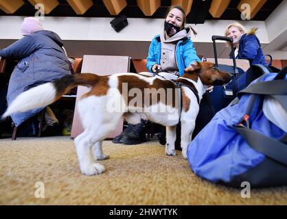 Jihlava, Repubblica Ceca. 08th Mar 2022. Centro di assistenza regionale per i rifugiati ucraini a Jihlava, Repubblica Ceca, 8 marzo 2022. Credit: Lubos Pavlicek/CTK Photo/Alamy Live News Foto Stock