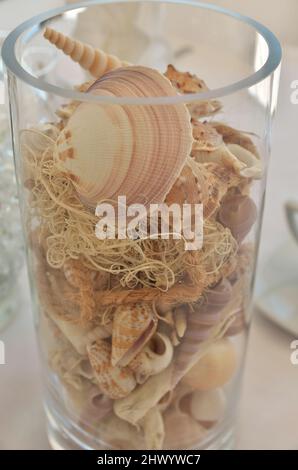 Un pezzo centrale di vetro Vase riempito con una varietà di conchiglie di mare per una festa nuziale sulla spiaggia Foto Stock