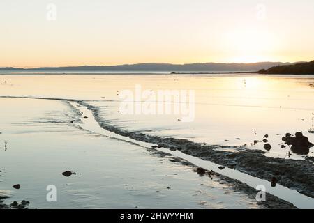 Bassa marea su mudflats nel Golfo di Hauraki all'alba sulla costa del Tamigi, Nuova Zelanda. Foto Stock