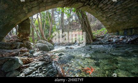 Ponte in pietra veneziana sul fiume Krios, storico punto di riferimento medievale a Cipro. Vista sulla foresta da sotto il ponte Foto Stock