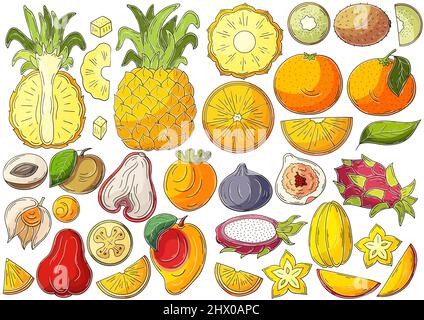 Grande set di illustrazioni vettoriali in stile disegno a mano. Disegni per bambini, poster con frutta tropicale. Collezione di icone, badge, spille, adesivi. Es Illustrazione Vettoriale