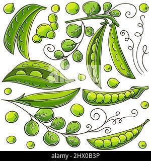 Set di illustrazioni vettoriali in stile disegno a mano. Disegni per bambini, poster con frutta. Piselli. Collezione di adesivi Illustrazione Vettoriale