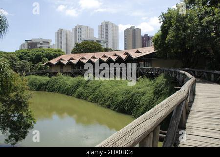 Curitiba, Parana, Brasile. 8th Mar 2022. (INT) movimento nell'Orto Botanico di Curitiba. 8 marzo 2022, Curitiba, Parana, Brasile: Movimento nel Giardino Botanico, una delle principali cartoline e località turistica della città di Curitiba, martedì (8), con intenso calore nella capitale di Parana. (Credit Image: © Edson De Souza/TheNEWS2 via ZUMA Press Wire) Foto Stock