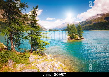 Splendida vista sul lago di Silsersee (Sils) e picco Piz Corvatsch. Scena pittoresca e splendida. Popolare attrazione turistica. Posizione posiziona Ing. Superiore Foto Stock