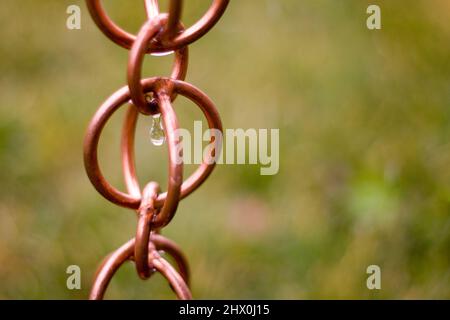Catena piovana in rame con goccia di pioggia. Erba testurizzata sullo sfondo. Foto Stock