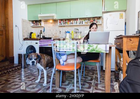 vista frontale della giovane donna venezuelana caucasica nella cucina della sua casa seduta sul computer portatile e il suo cane pugile in piedi accanto a lei Foto Stock