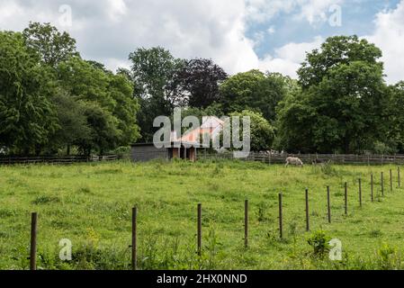 Uccle, Bruxelles - Belgio - 06 14 2019 - Vista sui prati verdi e gli alberi del parco di Vronerode - Fond'Roy Foto Stock