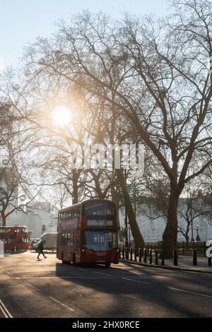 Horseguard Avenue verso London Eye sulla riva sud del tamigi, Westminster, Londra, Inghilterra Foto Stock