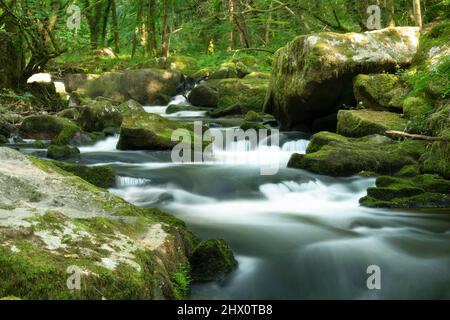 Popolare luogo di bellezza nel tardo pomeriggio, luce del sole estiva, che splende attraverso il baldacchino di lussureggiante foresta sopra, illuminanti massi e fluente fresco, pulito, fiume Foto Stock