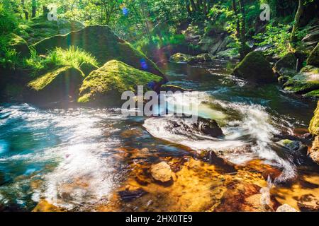 Popolare luogo di bellezza nel tardo pomeriggio, luce del sole estiva, che splende attraverso il baldacchino di lussureggiante foresta sopra, illuminanti massi e fluente fresco, pulito, fiume Foto Stock