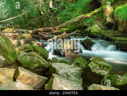 Popolare luogo di bellezza nel tardo pomeriggio, luce del sole estiva, che splende attraverso il baldacchino di lussureggiante foresta sopra, illuminanti massi e fluente fresco, pulito, fiume Foto Stock