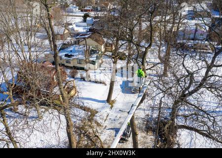 Detroit, Michigan - i lavoratori di Detroit Grounds Crew rimuovono gli alberi indesiderati e malati in un quartiere di Detroit. Foto Stock