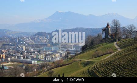 Vista dalla funivia del Monte Pilatus verso il Monte Rigi. Castello di Schauensee. Foto Stock