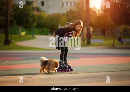 Piccola bella ragazza su pattini a rotelle cammina un cucciolo nel parco Foto Stock