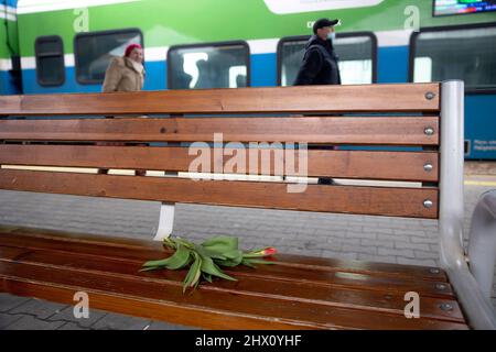 Przemysl, Polonia. 08th Mar 2022. Un fiore visto a sinistra sulla panchina alla stazione ferroviaria di Przemysl. Più di 1,5 milioni di ucraini sono fuggiti dal loro paese in Polonia a causa dell'invasione russa, secondo le ultime cifre dell'Alto Commissariato delle Nazioni Unite per i rifugiati (UNHCR). Credit: SOPA Images Limited/Alamy Live News Foto Stock