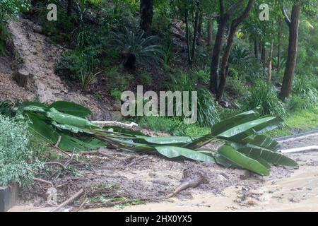 Le forti piogge e le tempeste di Sydney Australia nel marzo 2022 portano alle frane presso le proprietà attraverso le spiagge settentrionali, qui ad Avalon Beach Foto Stock