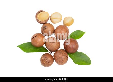 Noci di macadamia con foglie piatte adagiano su fondo bianco Foto Stock