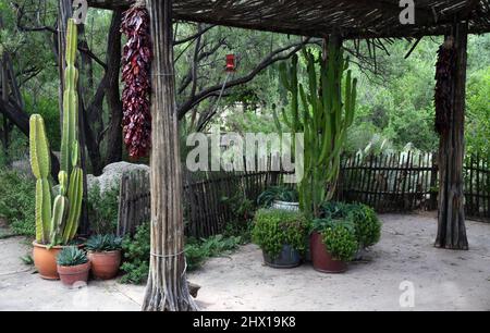 Tranquillo High Desert patio Garden a fine estate con tradizionale Chili Ristra decorazione in New Mexico. Foto Stock