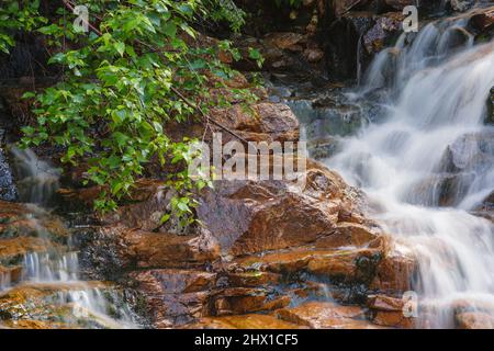 Cascate di Thoreau sulla diramazione nord del ramo est del fiume Pemigewasset nella natura di Pemigewasset a Lincoln, New Hampshire. Foto Stock