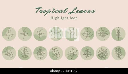 Set di foglia tropicale icona botanica social media Highlight storia modello banner con sfondo verde onda astratta. Illustrazione vettoriale Illustrazione Vettoriale