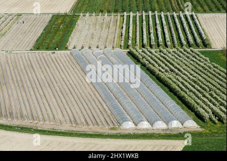 Frutteti e ortaggi nella valle del Rodano vicino Charrat, Vallese, Svizzera Foto Stock