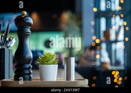 Agitatori sale e pepe con pianta. Pentole di sale e pepe sul tavolo. Cantina di sale di metallo. Tritatutto in legno per interni in casa. Foto Stock