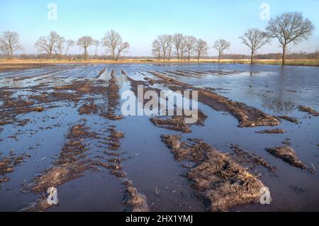 Campo fangoso dopo maltempo, allagato dopo forti piogge in inverno Foto Stock