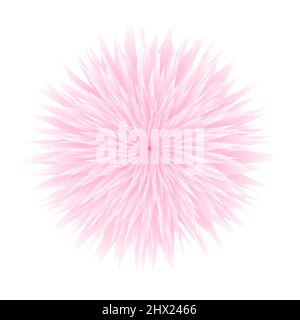 Rosa su sfondo bianco. Fiore in fiore. Elemento di disegno dello sfondo astratto. Acquerelli struttura floreale. Una cascata di crisanthemum caduta. Vettore Illustrazione Vettoriale