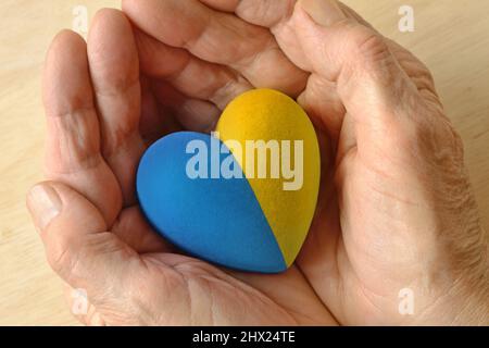 Le mani della donna che tengono il cuore nei colori della bandiera Ukranian - concetto di fermare la guerra e pregare per l'Ucraina Foto Stock