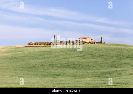 Un antico casale con cipressi e piantagione circondato da colline toscane coltivate con cura in estate Foto Stock