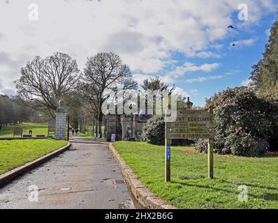 I visitatori che arrivano al Mount Edgcumbe Park sulla penisola di Rame nella Cornovaglia sud-orientale attraverso la storica ‘Avenue’ di alberi. Fuori dal cancello principale Foto Stock