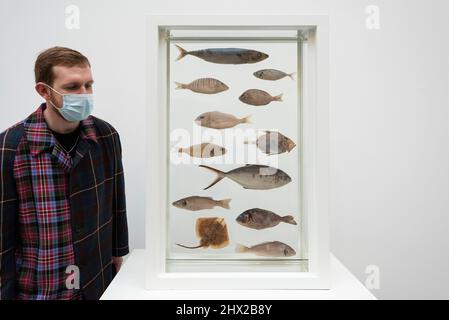 Londra, Regno Unito. 9 marzo 2022. Un visitatore vede “Scuola di pensiero”, 1993, di Damien Hirst. Anteprima di “Storia Naturale”, la prima mostra dedicata alle sculture di formaldeide di Damien Hirst. Oltre 20 opere, databili dal 1991 al 2021, sono esposte nella galleria Britannia Street di Gagosian. Credit: Stephen Chung / Alamy Live News Foto Stock