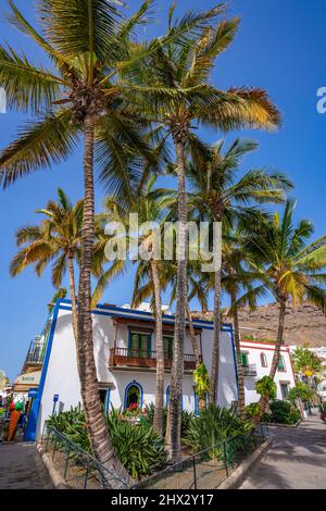 Vista sulle palme e sugli edifici colorati lungo il lungomare della città vecchia, Playa de Mogan, Gran Canaria, Isole Canarie, Spagna, Europa Foto Stock