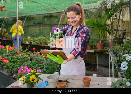 Donna felice con fiore in vaso facendo videochiamata Foto Stock