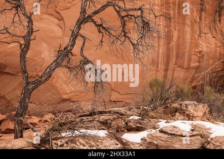 Figure antropomorfe simili ad alieni sul Bartlett Rock Art Panel, un pannello in stile Barrier Canyon vicino a Moab, Utah. Dipinta circa 3000 anni fa dalla A. Foto Stock