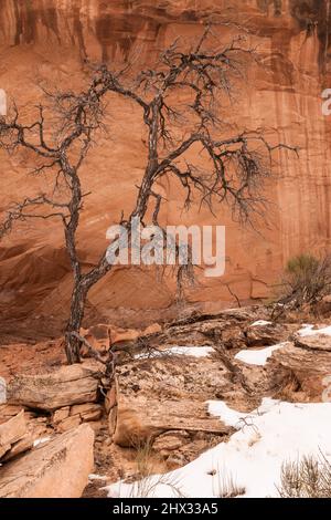 Figure antropomorfe simili ad alieni sul Bartlett Rock Art Panel, un pannello in stile Barrier Canyon vicino a Moab, Utah. Dipinta circa 3000 anni fa dalla A. Foto Stock