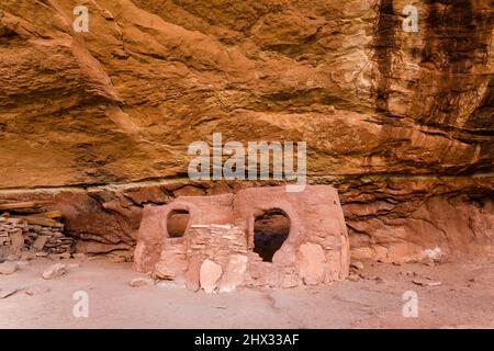 La rovina del collare di Cavallo è un'antica scogliera di Puebloan risalente a 1000 anni fa nel Natural Bridges National Monument, Utah. Foto Stock