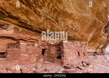 La rovina del collare di Cavallo è un'antica scogliera di Puebloan risalente a 1000 anni fa nel Natural Bridges National Monument, Utah. Foto Stock