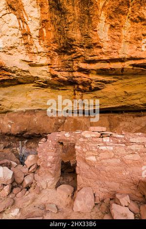 La rovina del collare di Cavallo è un'antica scogliera di Puebloan risalente a 1000 anni fa nel Natural Bridges National Monument, Utah. Foto Stock