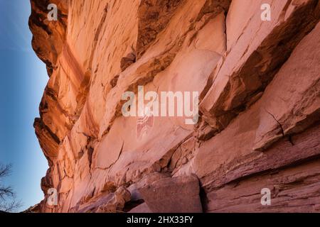 L'uomo di baseball è un antico pittogramma ancestrale Puebloan nativo americano in Chinle Wash sulla Riserva Navajo nello Utah. E 'stato dipinto più th Foto Stock