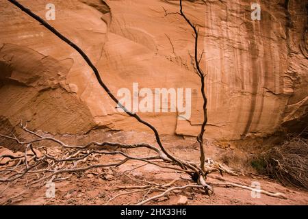 Figure antropomorfe simili ad alieni sul Bartlett Rock Art Panel, un pannello in stile Barrier Canyon vicino a Moab, Utah. Dipinta circa 3000 anni fa dalla A. Foto Stock