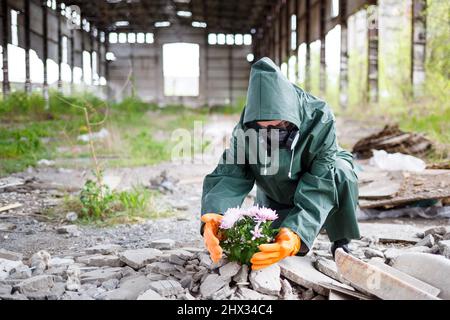 Un uomo in un impermeabile e maschera a gas raccoglie un fiore da una terra bruciata e tossica. Concetto di inquinamento atmosferico. Catastrofia ecologica. Foto Stock