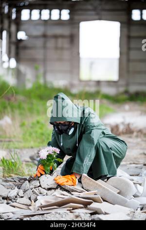 Un uomo in un impermeabile e maschera a gas raccoglie un fiore da una terra bruciata e tossica. Concetto di inquinamento atmosferico. Catastrofia ecologica. Foto Stock
